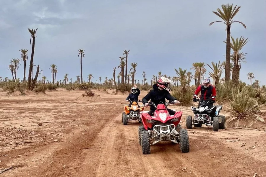 Journée Palemeraie Marrakech